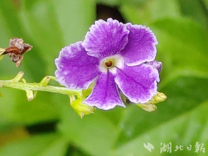 在线赌送彩金平台